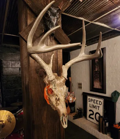 Outdoor & Trophy Room