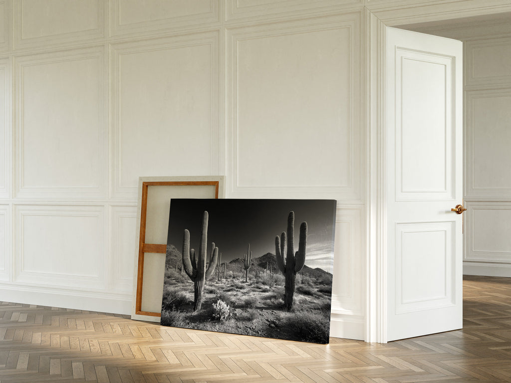 Sentinels of the Sonoran