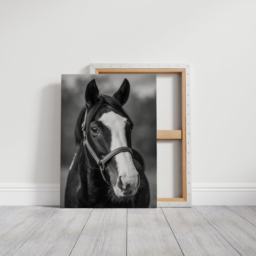 Gentle Spirit