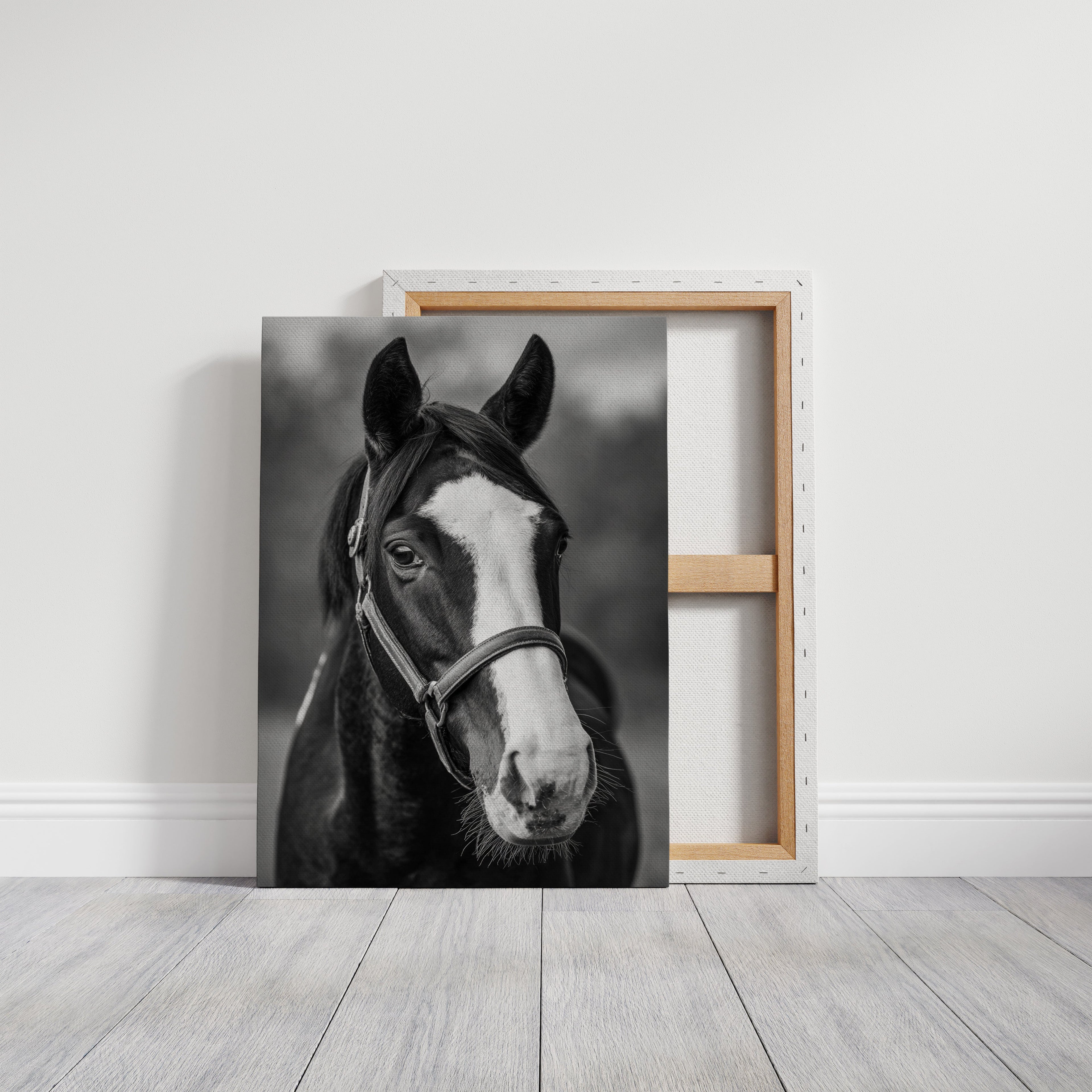Gentle Spirit