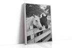 Pasture Gate Conversations