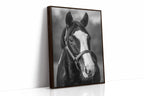 Gentle Spirit