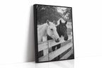 Pasture Gate Conversations