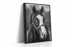 Gentle Spirit