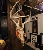 Skull Mount Wall Bracket