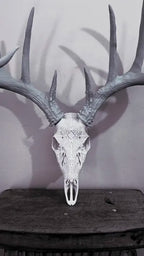 Graphic Whitetail "Maze Runner" Antler Mount