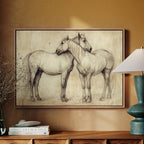 Equine Companionship Study