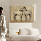 Equine Companionship Study