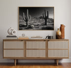 Sentinels of the Sonoran