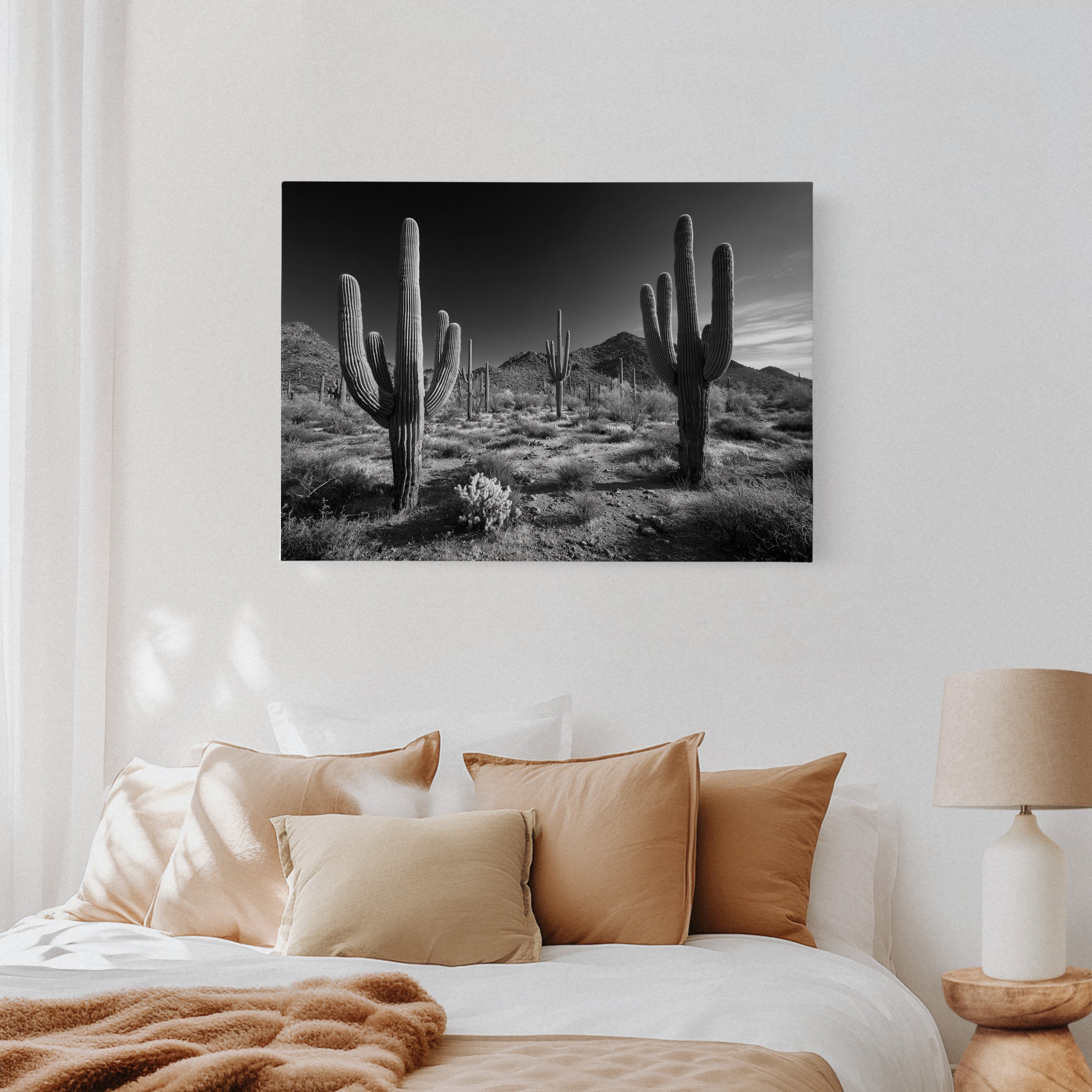 Sentinels of the Sonoran