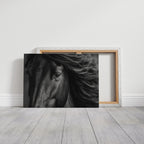 Window to the Wild Soul