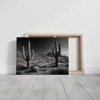 Sentinels of the Sonoran