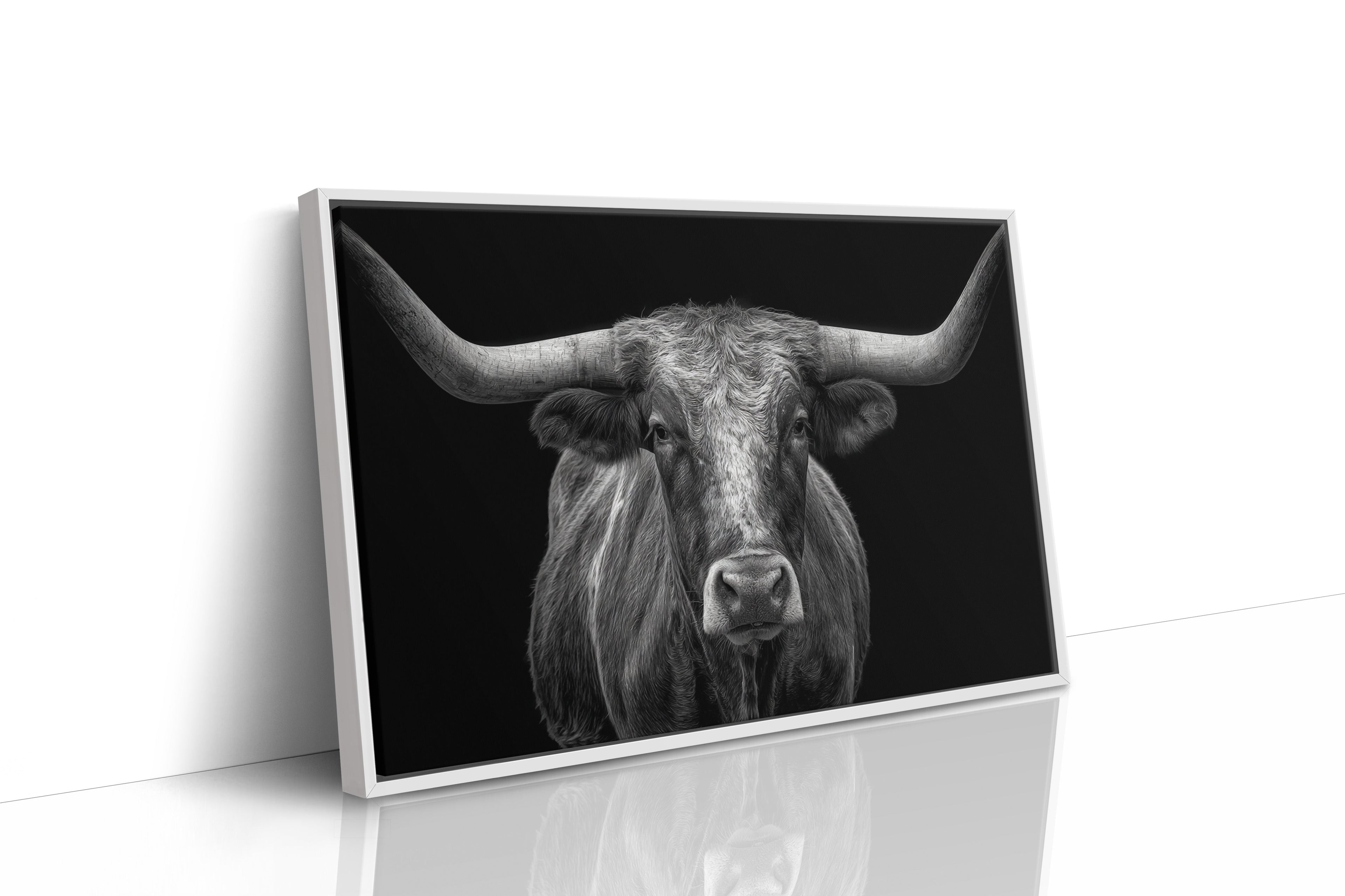 The Monarch of Texas