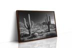 Sentinels of the Sonoran