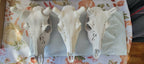 Classic European Whitetail Mount System