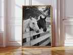 Pasture Gate Conversations