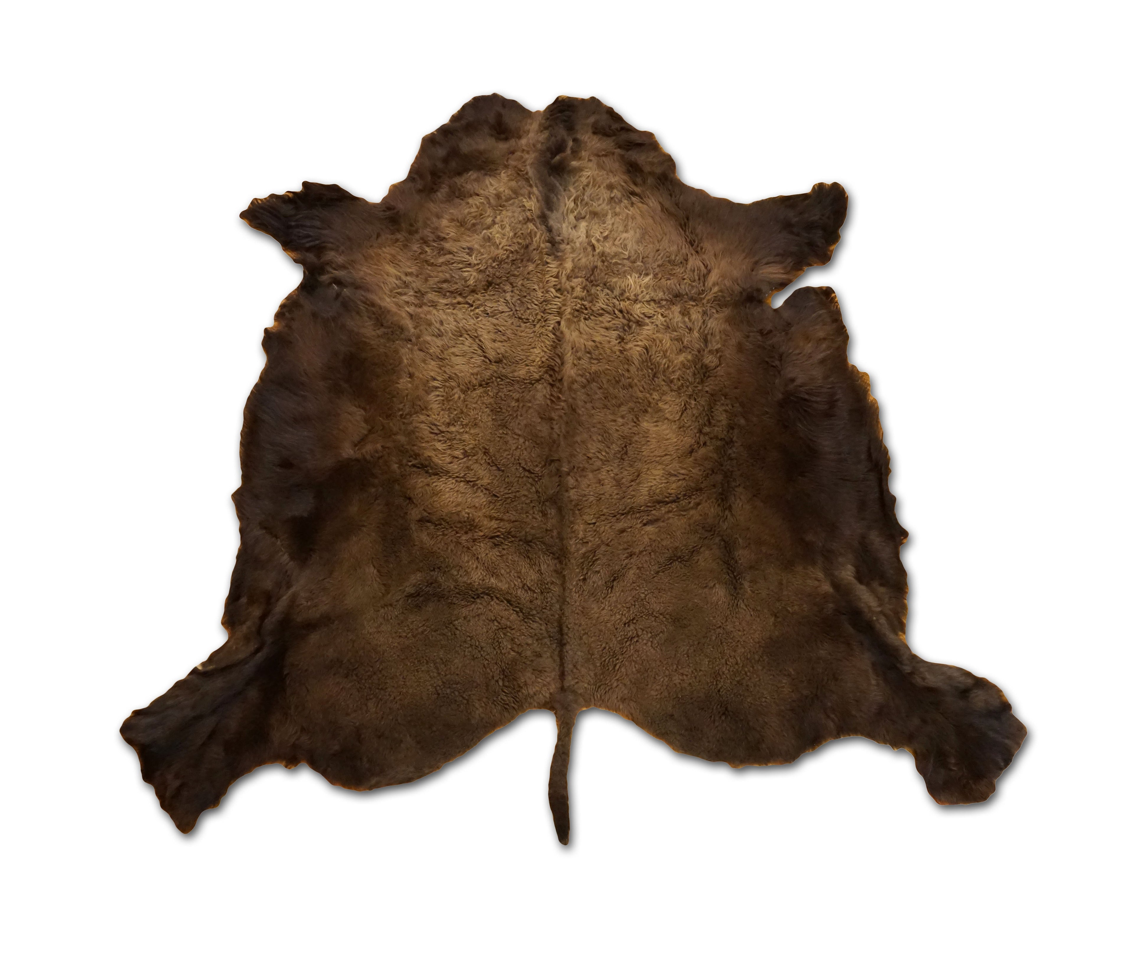 American Buffalo Bison Hide Rug