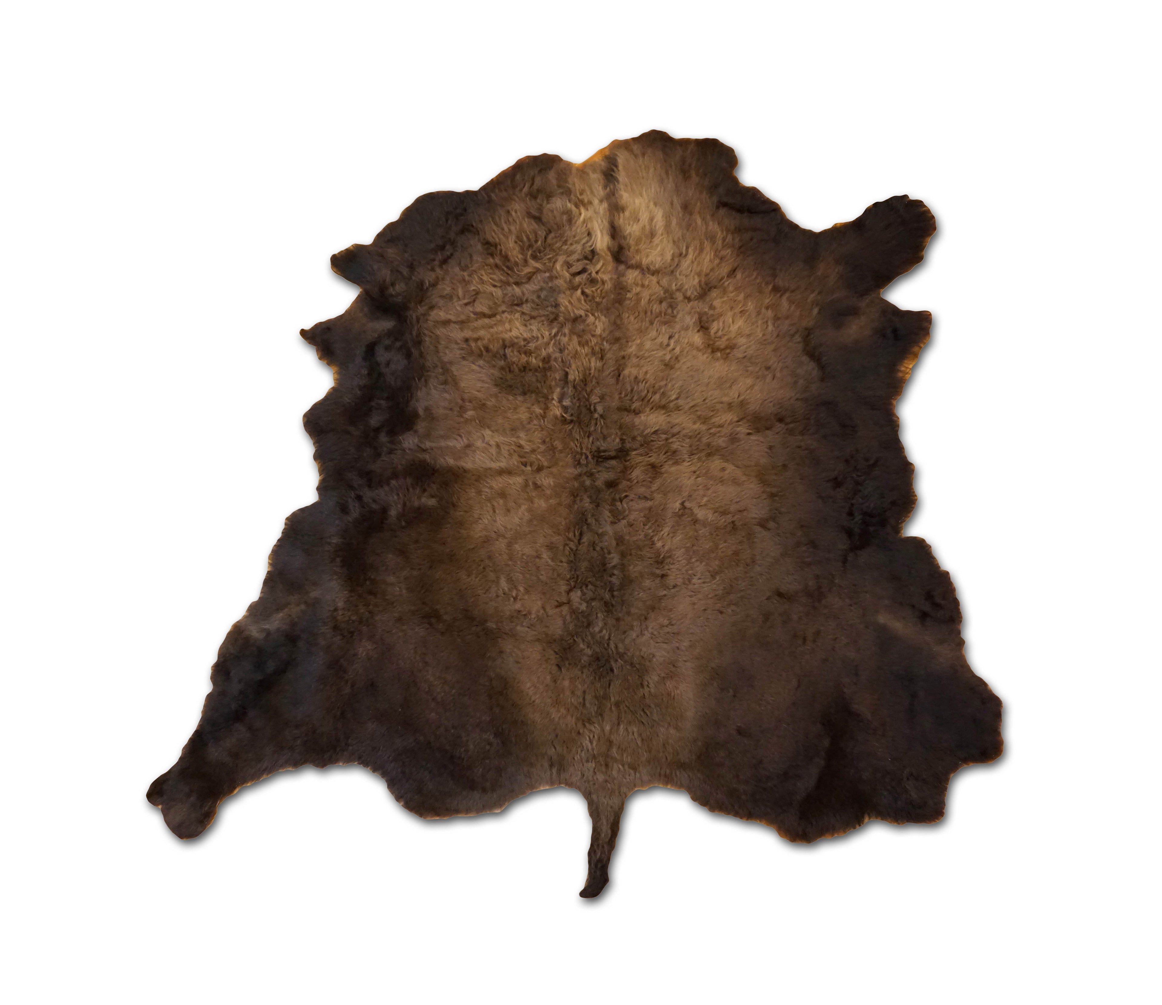 American Buffalo Bison Hide Rug