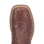 Dan Post Alamosa (Chocolate/Brown) - Men's Ostrich Skin Leather Cowboy Boots