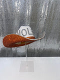 TN VOLS Hat
