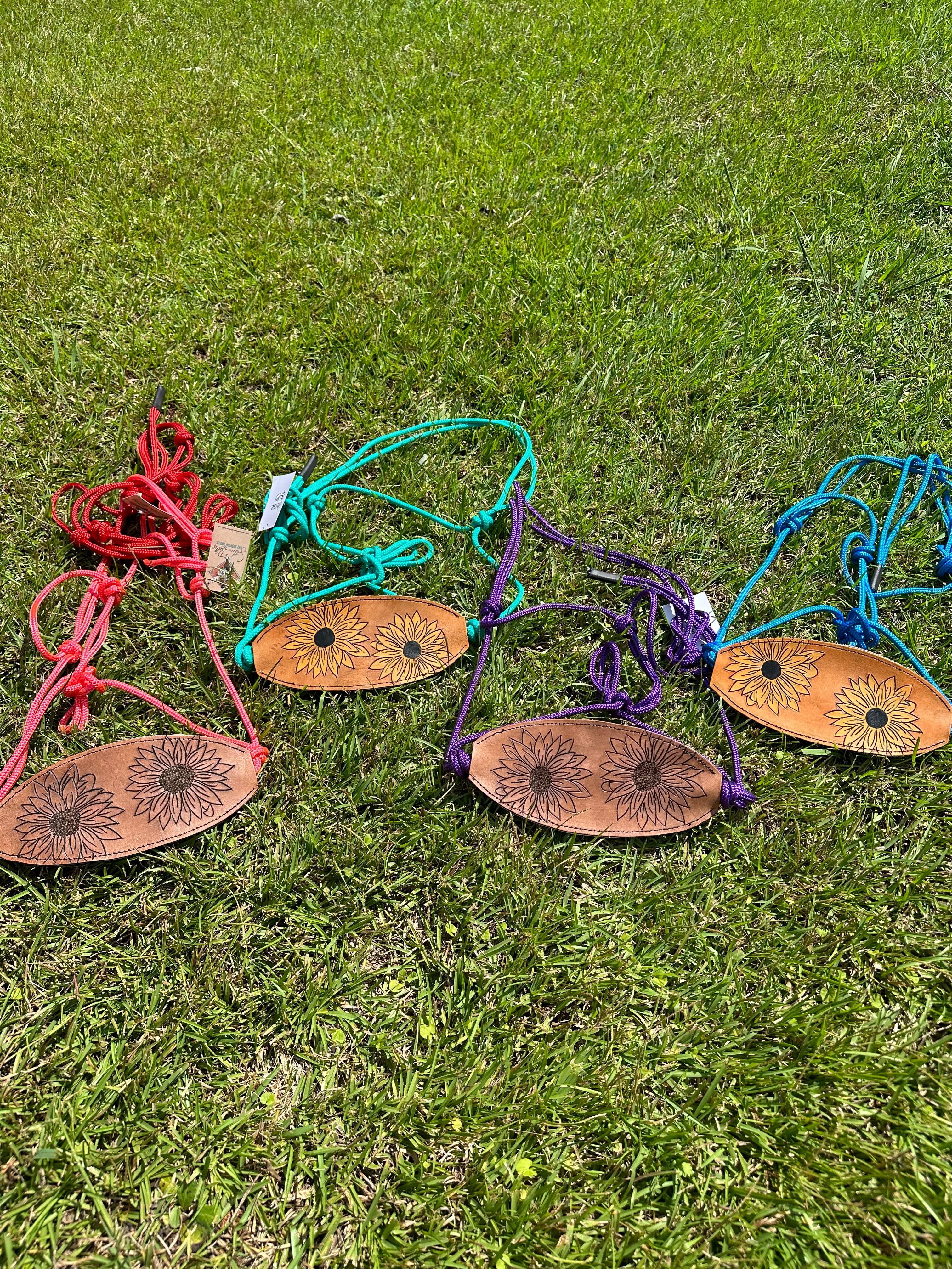 Sunflower Bronc Halters