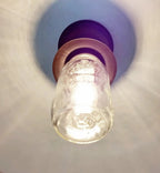 Mason Jar Exterior Outdoor Porch Farmhouse Ceiling Light Fixture
