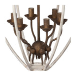 Park HIll | Gilded Folles Chandelier
