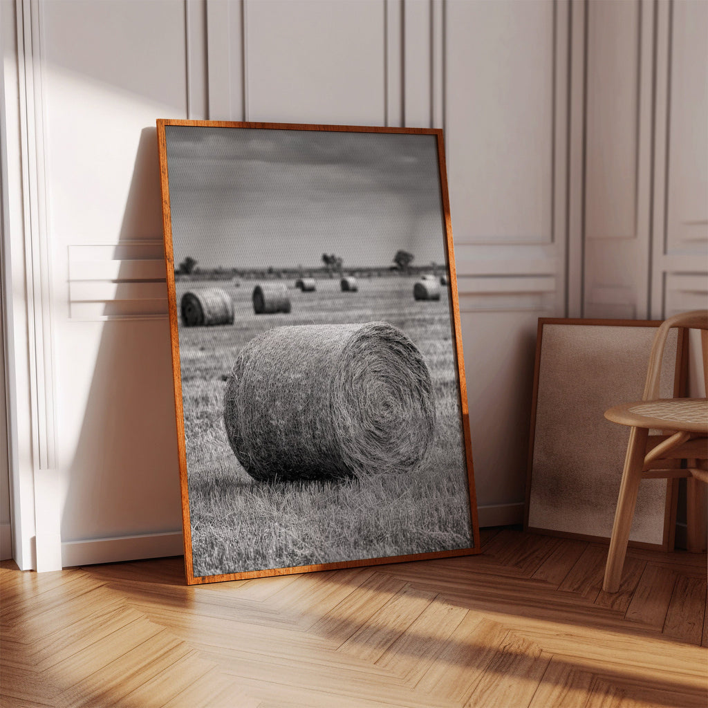 Harvested Echoes of Summer