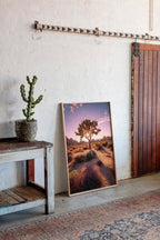 The Sun's Embrace on Desert Sage