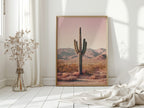 Beneath the Endless Desert Sky