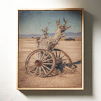Roots of Forgotten Journeys